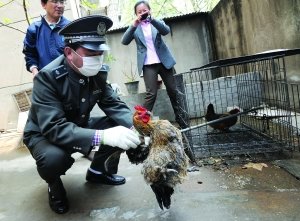 点击图片分享到上海滩微博