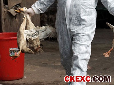 H7N9禽流感最新消息：中国5天新增6例确诊病例