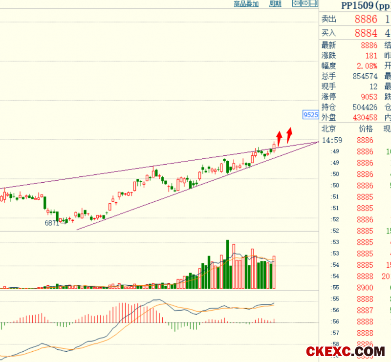 pp期货1509合约