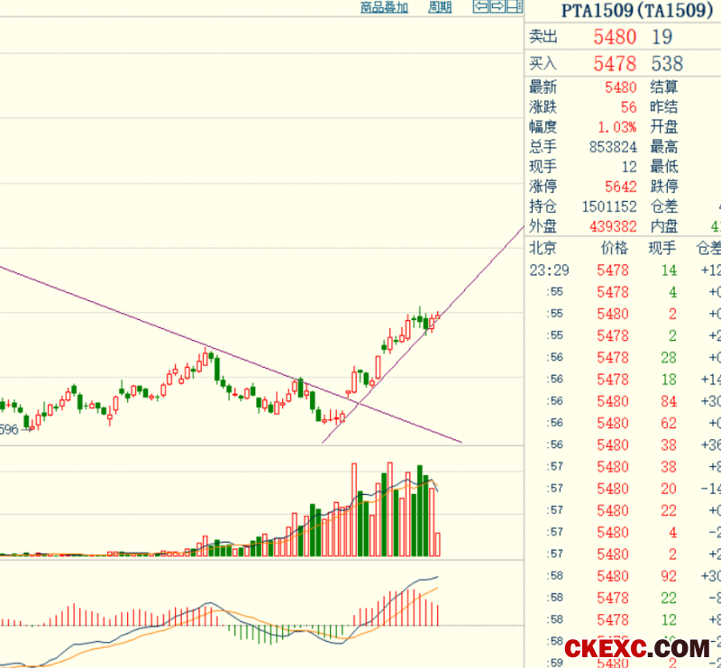 pta期货1509合约