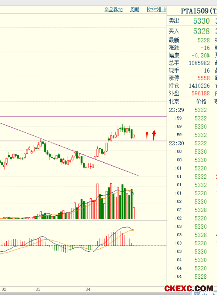 pta期货1509合约