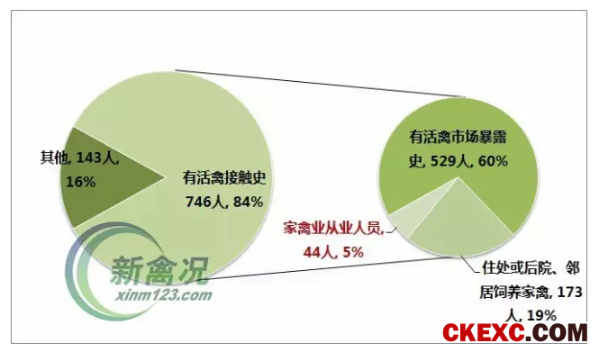 一旦发病血本无归！感染H7N9鸡病死率高达60%