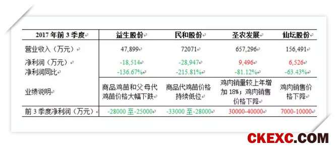 2017白羽肉鸡产业利润大幅下降 种鸡严重亏损