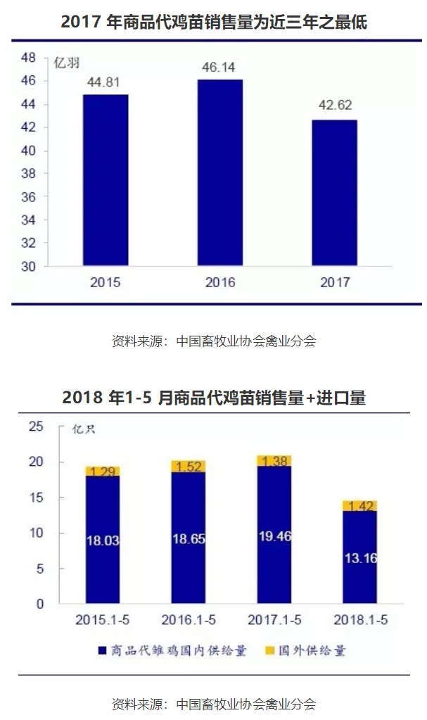 2018年上半年我国肉鸡养殖行业市场现状及趋势分析