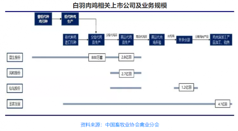 2018年上半年我国肉鸡养殖行业市场现状及趋势分析