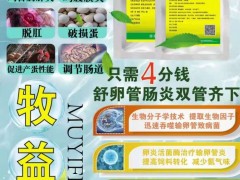 无抗输卵管炎特效药原料，只需四分钱轻松解决蛋鸡产蛋问题图1